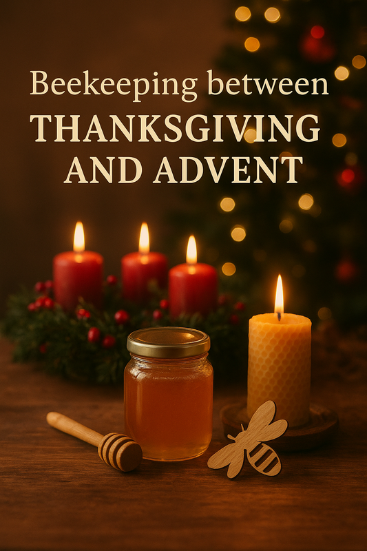 Beekeeping Between Thanksgiving and Advent: A Season of Gratitude and Preparation