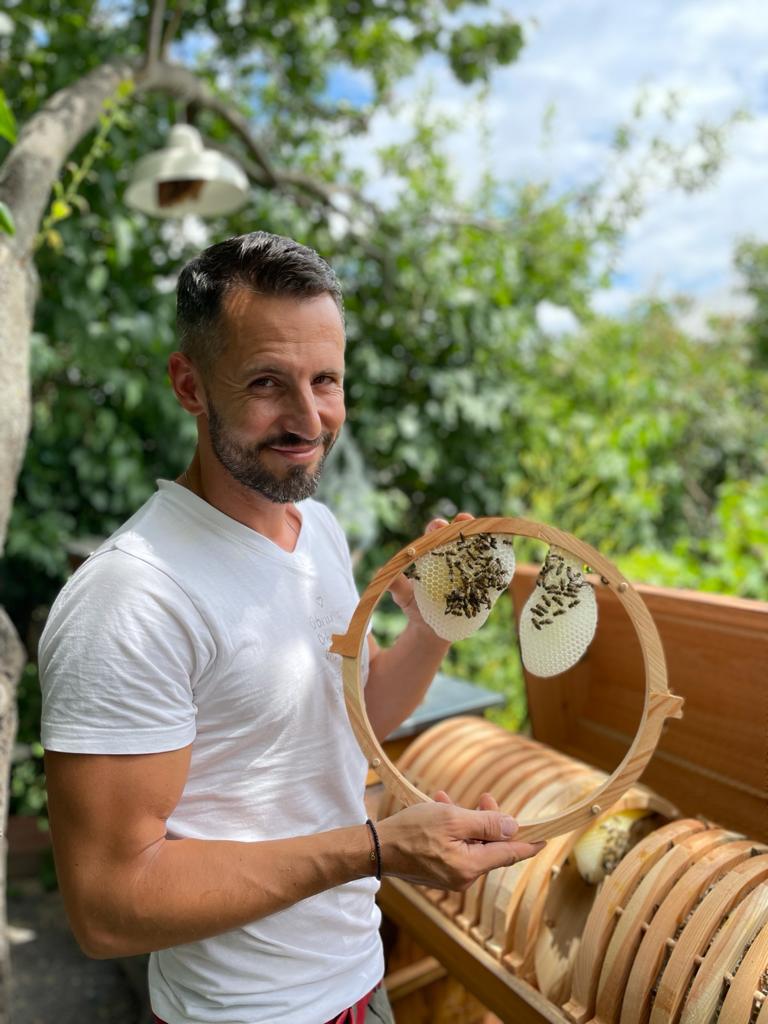 One year of a beekeeper