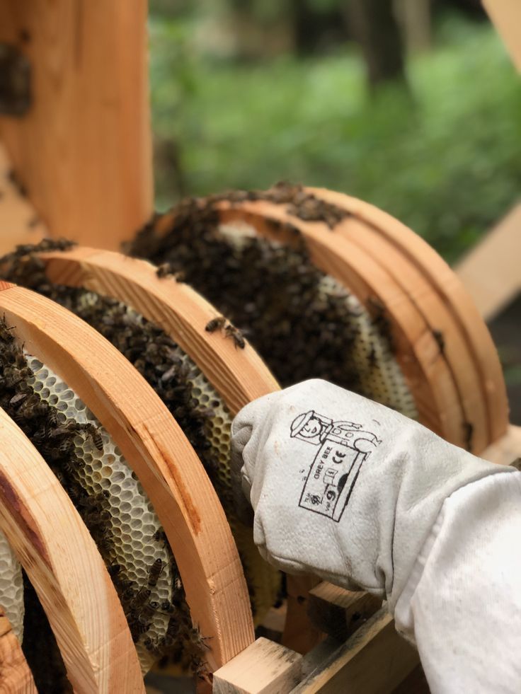 Natural beekeeping round hive with waist-height ergonomic design
