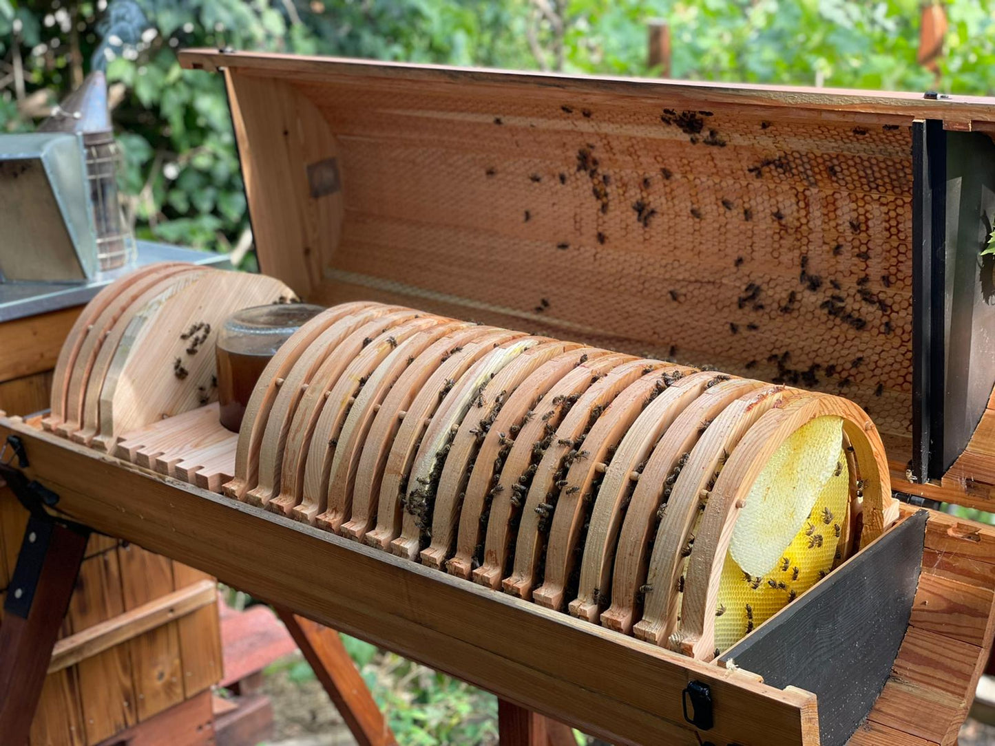 Horizontal long hive design with propolis envelope for bee immunity