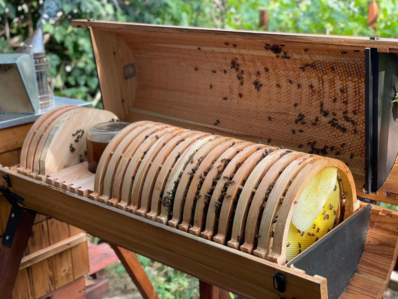 Horizontal long hive design with propolis envelope for bee immunity